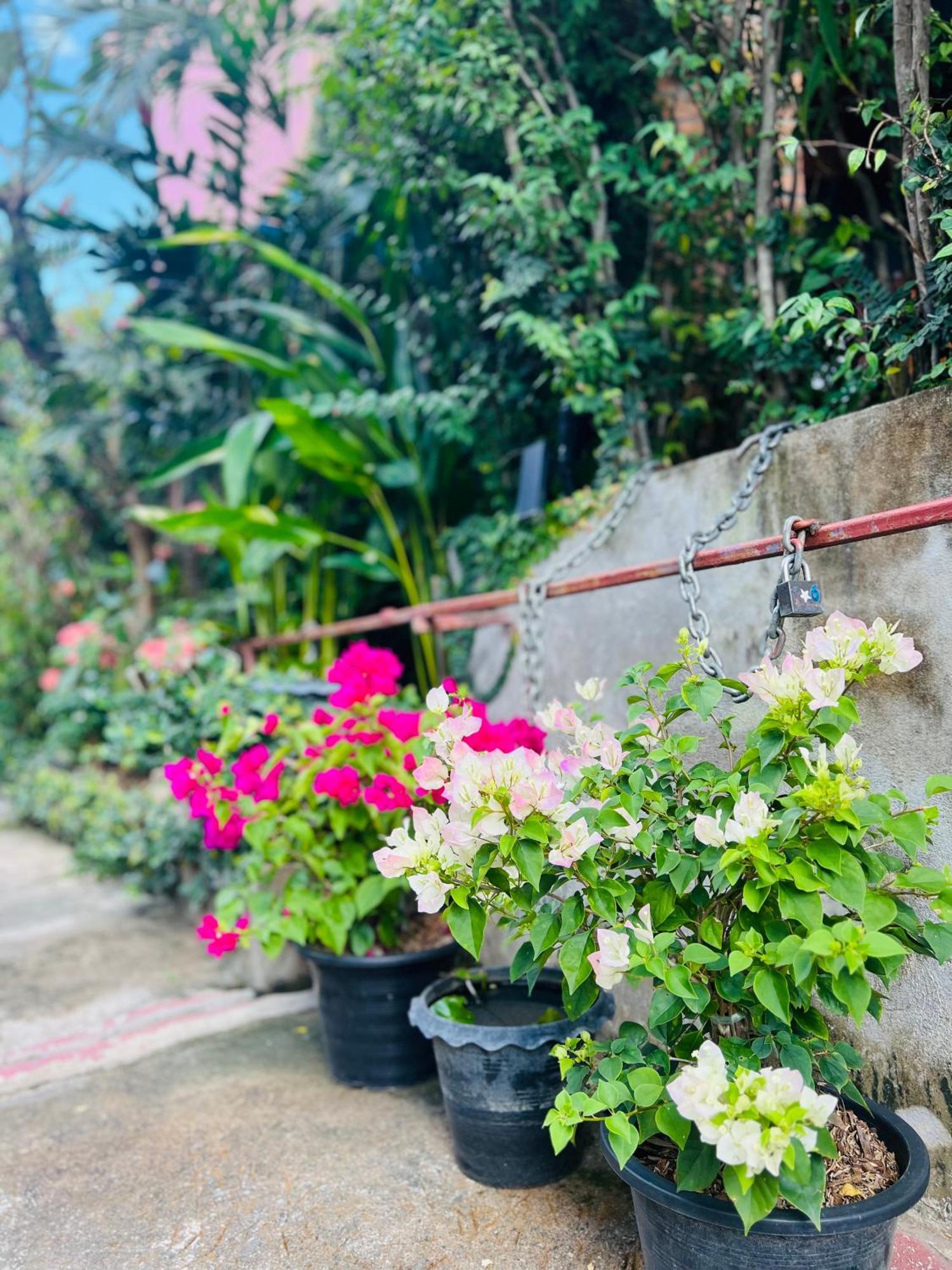 Boutique House Nipha Lejlighed Chiang Mai Eksteriør billede
