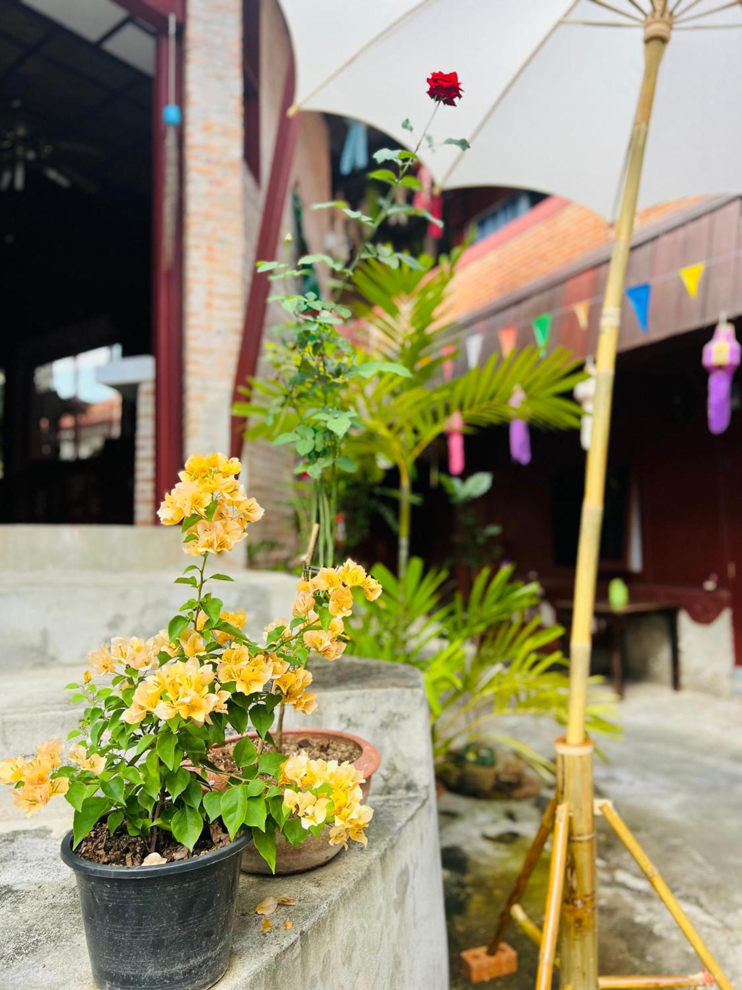 Boutique House Nipha Lejlighed Chiang Mai Eksteriør billede